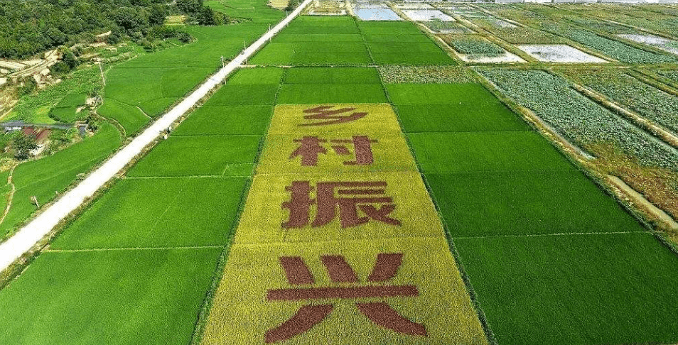 人民日報“鄉(xiāng)村振興計劃”為何看上他？_直播_行業(yè)_農(nóng)產(chǎn)品